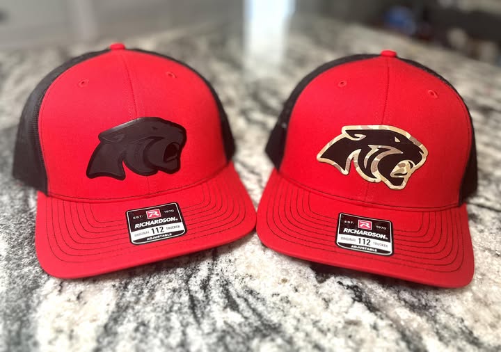 Panthers Hat